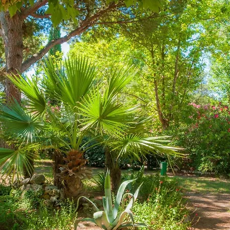 Parque de vacaciones Résidence De Atc